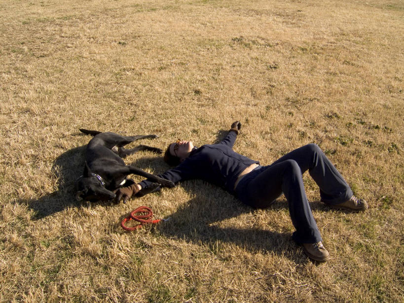 西方人,一个人,躺,伸展双臂,横图,俯视,室外,白天,植物,宠物,狗,欧洲,欧洲人,仅一个女性,仅一个人,阴影,服装,枯萎,光线,影子,枯草,拉布拉多,狗绳,休闲装,拉布拉多猎犬,草,一只,衣服,黄色,阳光,动物,绳子,仅一个中年女性,休闲,休闲服,可爱,服饰,绳索,拉布拉多犬,狗链,牵引绳,忠诚,卧着,女人,女性,中年女性,白种人,项圈,犬,敞开双臂,伸开双臂,躺着,卧,展开双肩,张开手臂,张开双臂,彩图,高角度拍摄,全身,狗链子,狗项圈