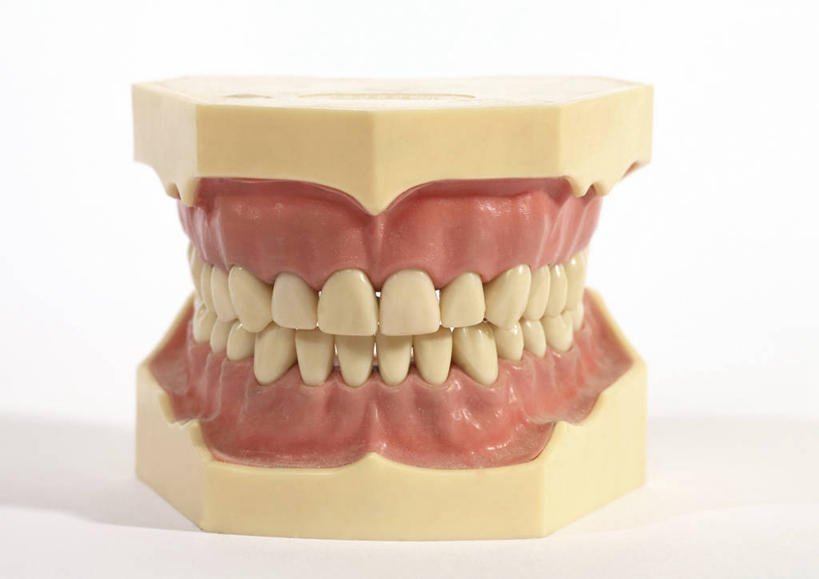 牙齿,无人,横图,室内,特写,白天,白色背景,正面,桌面,桌子,静物,一排,许多,阴影,整齐,反射,影子,很多,排列,模型,摄影,影棚,队列,假牙,活动假牙,义齿,齿,牙,牙龈,彩图,影棚拍摄,拍摄