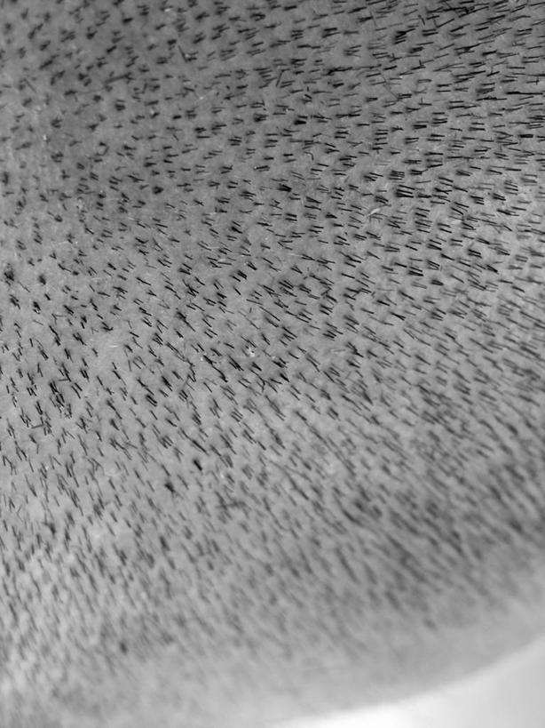 西方人,一个人,竖图,黑白,室内,特写,白天,正面,欧洲,欧洲人,仅一个男性,仅一个人,纹路,纹理,裸露,仅一个年轻男性,披风,毛发,体毛,裸,肌理,男人,男性,年轻男性,白种人,半身