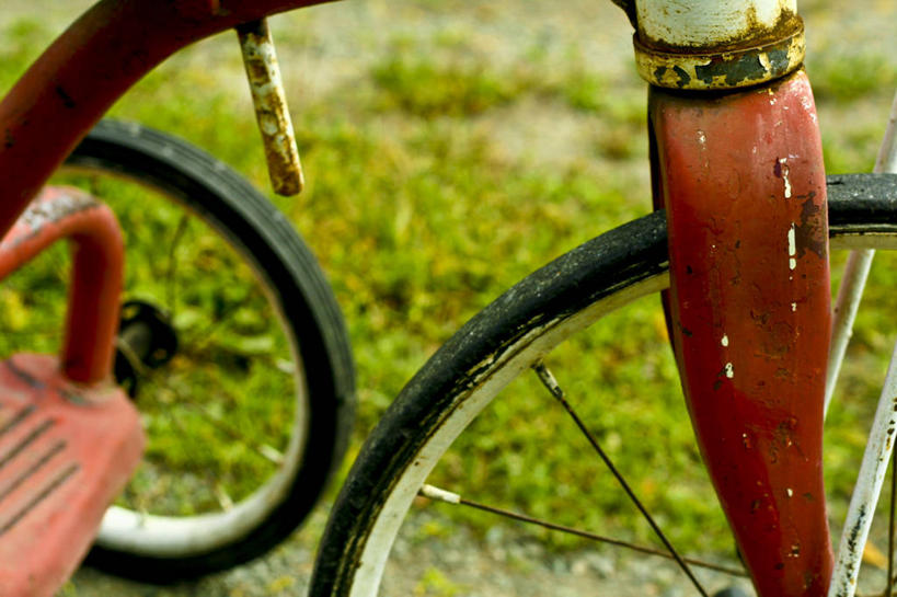 无人,横图,俯视,室外,特写,白天,草地,草坪,植物,一辆,阴影,朦胧,模糊,光线,影子,三轮车,车,脚踏车,草,绿色,黑色,阳光,轮胎,交通工具,橡胶,载具,儿童车,橡胶制品,车胎,彩图,高角度拍摄,外胎,儿童三轮车