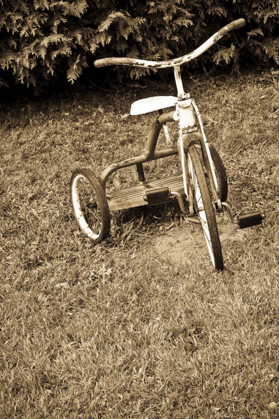 无人,竖图,俯视,室外,白天,植物,叶子,一辆,枯萎,三轮车,枯草,绿叶,车,脚踏车,草,黄色,交通工具,嫩叶,载具,儿童车,叶,叶片,彩图,高角度拍摄,儿童三轮车