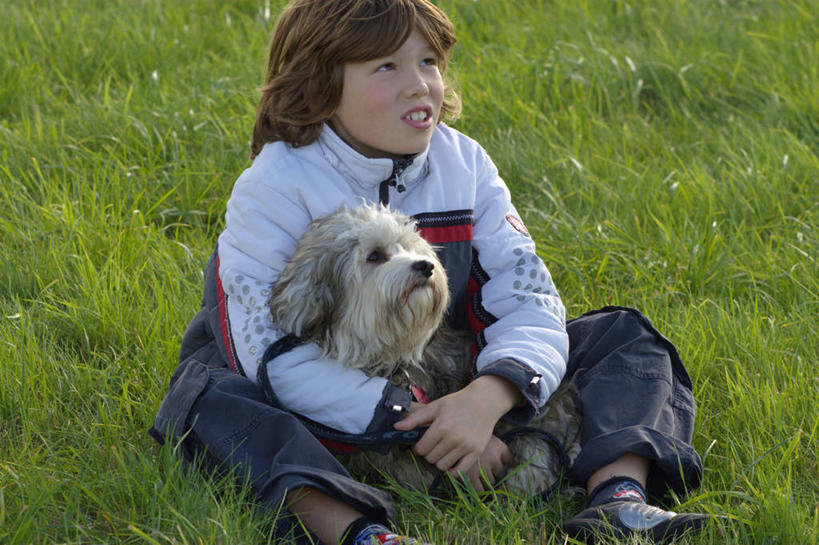 西方人,儿童,一个人,坐,笑,微笑,露齿笑,横图,室外,白天,正面,纯洁,草地,草坪,植物,宠物,狗,欧洲,欧洲人,仅一个男性,仅一个人,阴影,服装,光线,影子,注视,休闲装,草,一只,小孩,衣服,绿色,阳光,动物,观察,看,仅一个小孩,休闲,休闲服,可爱,童年,童趣,服饰,牧羊犬,观看,察看,关注,童真,烂漫,无邪,忠诚,古代牧羊犬,古牧,截尾犬,英国古代牧羊犬,天真,男孩,男人,男性,白种人,孩子,犬,抬头,仰头,坐着,半身,彩图,男生