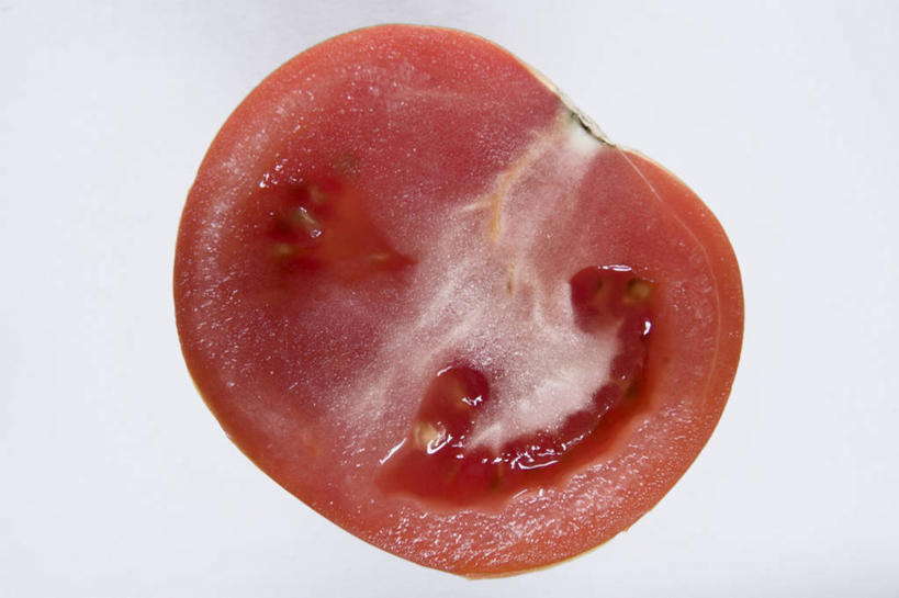 无人,横图,室内,特写,白天,白色背景,正面,蔬菜,西红柿,切开,阴影,新鲜,反射,影子,食品,半个,食物,红色,白色,切,一半,摄影,有机食品,绿色食品,影棚,剖面,切面,洋柿子,柑仔蜜,番茄,臭柿,彩图,影棚拍摄,拍摄,六月柿,喜报三元