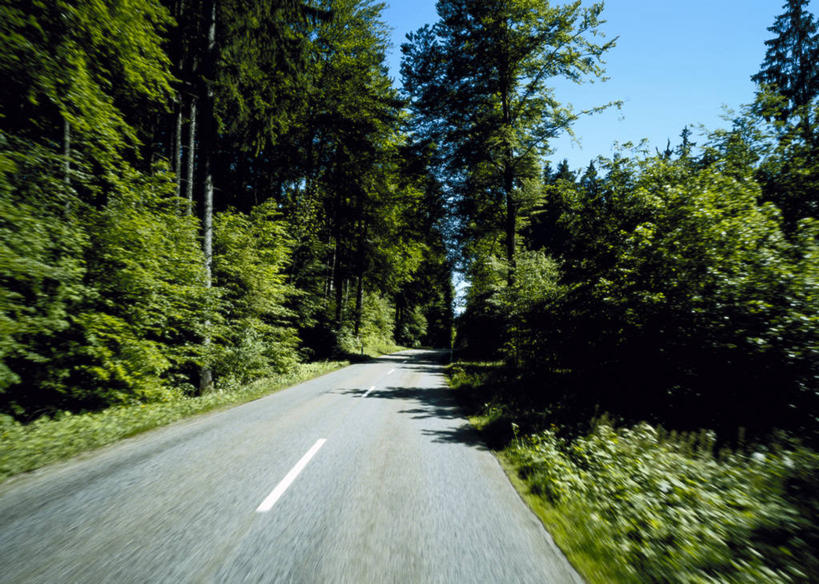 无人,横图,室外,白天,正面,消失点,旅游,度假,草地,草坪,美景,植物,道路,路,公路,德国,欧洲,阴影,光线,影子,景观,分界线,停车线,交通,娱乐,草,树,树木,蓝色,绿色,蓝天,天空,阳光,自然,天,享受,休闲,景色,放松,生长,晴朗,成长,车行道,车行道分界线,西欧,自然风光,标线,车行线,万里无云,德意志联邦共和国,晴空,晴空万里,马路,彩图,没影点,灭点