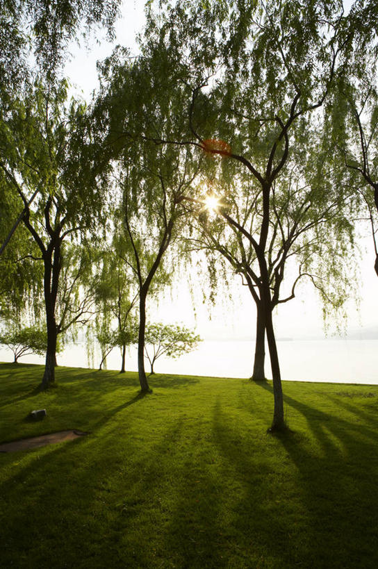 无人,竖图,室外,白天,正面,旅游,度假,草地,草坪,湖,湖泊,美景,水,植物,柳树,西湖,中国,亚洲,阴影,波纹,光线,影子,湖面,景观,水流,水面,涟漪,娱乐,浙江,垂柳,草,树,树木,浙江省,绿色,倒影,水纹,阳光,自然,波浪,湖水,享受,休闲,景色,放松,生长,成长,杭州,倒映,自然风光,东亚,杭州市,中华人民共和国,华东地区,省会,水晕,浙,倒挂柳,反照,垂枝柳,彩图