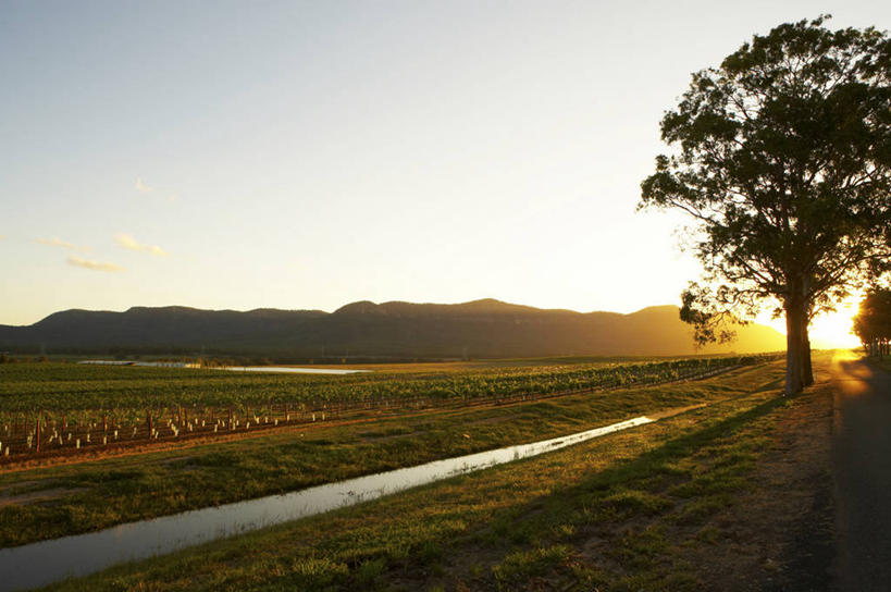无人,果园,农场,横图,室外,白天,正面,旅游,度假,畜牧业,牧场,草地,草坪,石头,美景,日落,山,山脉,田园,植物,澳大利亚,阴影,光线,石子,影子,景观,山顶,山峰,晚霞,霞光,落日,山峦,娱乐,葡萄园,架子,草,树,树木,绿色,阳光,自然,黄昏,庄园,群山,享受,休闲,景色,彩霞,放松,生长,成长,支撑,固定,自然风光,大洋洲,澳洲,葡萄架,畜牧,南方大陆,牧业,澳大利亚联邦,新南威尔士,新南威尔士州,颠峰,极峰,夕照,薄暮,石块,夕阳,彩图,傍晚,亨特谷,猎人谷,斜阳