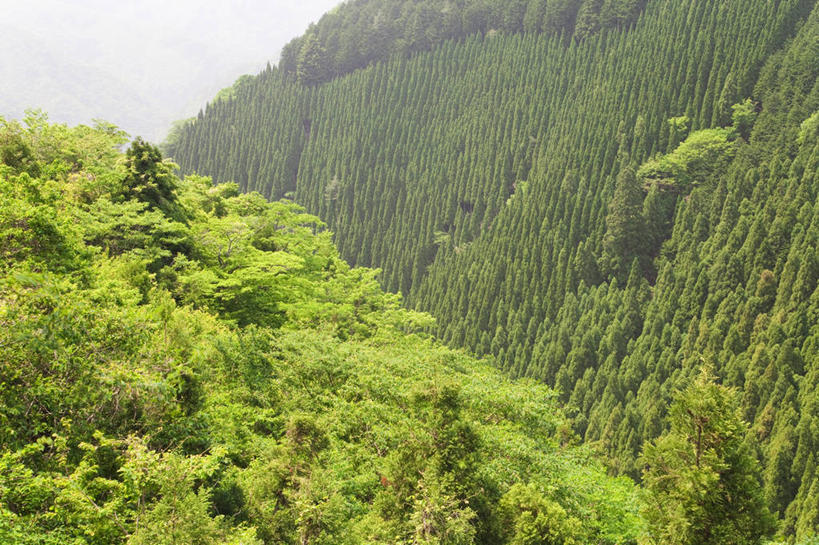 无人,横图,室外,白天,正面,旅游,度假,石头,美景,山,山脉,阴影,光线,石子,影子,景观,山顶,山峰,山峦,娱乐,阳光,自然,群山,享受,休闲,景色,放松,自然风光,颠峰,极峰,石块,彩图