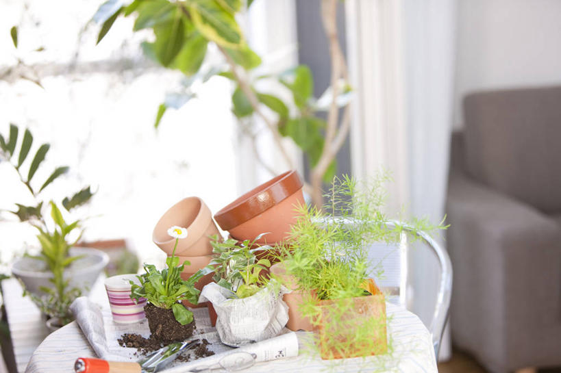 无人,家,客厅,横图,室内,白天,正面,阅读,植物,别墅,窗户,窗帘,家具,落地窗,沙发,装修,建筑,报纸,叶子,花盆,欧式,一堆,学习,阴影,堆叠,堆积,朦胧,模糊,装饰,反射,信息,盆栽,影子,陶瓷,房屋,屋子,泥土,土壤,公寓,绿叶,盆景,陶瓷制品,豪华,凌乱,建设,现代,装潢,洋房,楼房,玻璃窗,住宅,绿色,白色,自然,帘子,容器,室内装潢,嫩叶,遮阳,浏览,生长,成长,储藏,堆,新闻,华丽,修饰,样板房,明亮,点缀,混乱,起居室,舒适,家居装潢,储存,房屋设计,地中海风格,古典风格,简约风格,布艺沙发,室内设计,宽敞,样板房装潢,衬托,美观,雅致,雅观,纷乱,缭乱,庞杂,客堂,设计,叶,叶片,彩图,房子,贮存,报刊