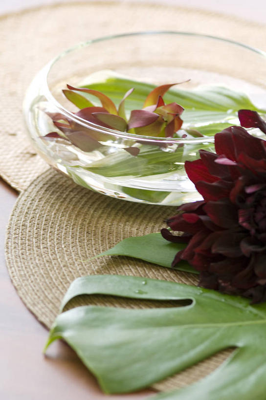 无人,竖图,俯视,室内,特写,白天,感激,水,花瓶,叶子,阴影,朦胧,模糊,新鲜,盛开,反射,液体,影子,水滴,大丽花,绿叶,花蕾,玻璃制品,花,花瓣,花朵,鲜花,一个,玻璃瓶,瓶子,花苞,花蕊,嫩叶,菊花,单个,大理花,天竺牡丹,玉簪,大丽菊,吉利,新意,富丽,大方,白鹤花,白玉簪,玉春棒,玉簪花,宽和,恬静,新颖,叶,叶片,彩图,高角度拍摄,白鹤仙,背叛,地瓜花,东洋菊