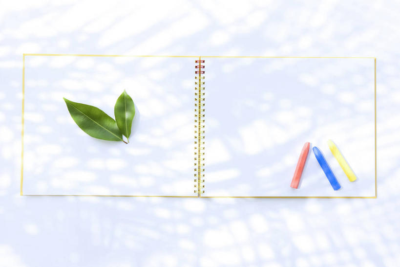 无人,横图,俯视,室内,特写,白天,桌子,叶子,三只,阴影,反射,笔,蜡笔,影子,绿叶,办公用品,书桌,素描本,文具,本子,课桌,学习用品,嫩叶,文具用品,叶,叶片,彩图,高角度拍摄,速写本,画画本,绘图本,手绘本,涂鸦本