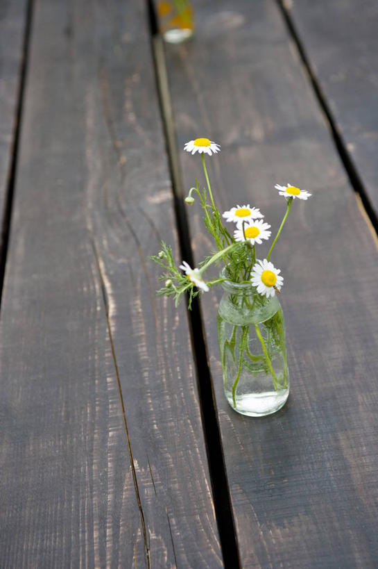 无人,竖图,室外,特写,白天,正面,水,地板,花瓶,阴影,盛开,反射,液体,影子,水滴,地面,花蕾,木地板,玻璃制品,花,花瓣,花朵,鲜花,玻璃瓶,瓶子,花苞,花蕊,甘菊,杭菊花,高尚,杭白菊,彩图