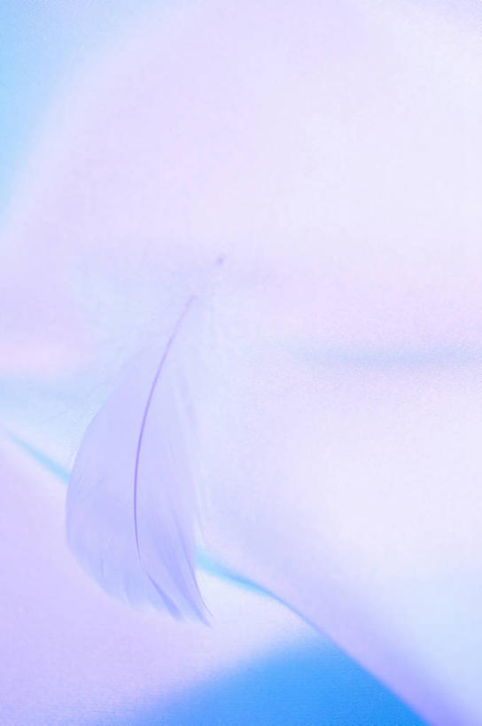 无人,竖图,俯视,室内,特写,白天,神秘,静物,羽毛,阴影,朦胧,模糊,轻盈,柔软,透明,反射,布,影子,布纹,紫色,轻薄,飘逸,布匹,优美,庄重,高贵,消极,轻柔,冷色,雪纺,孤寂,彩图,高角度拍摄,丝织物,乔其纱,乔其绉,乔琪纱,奢华