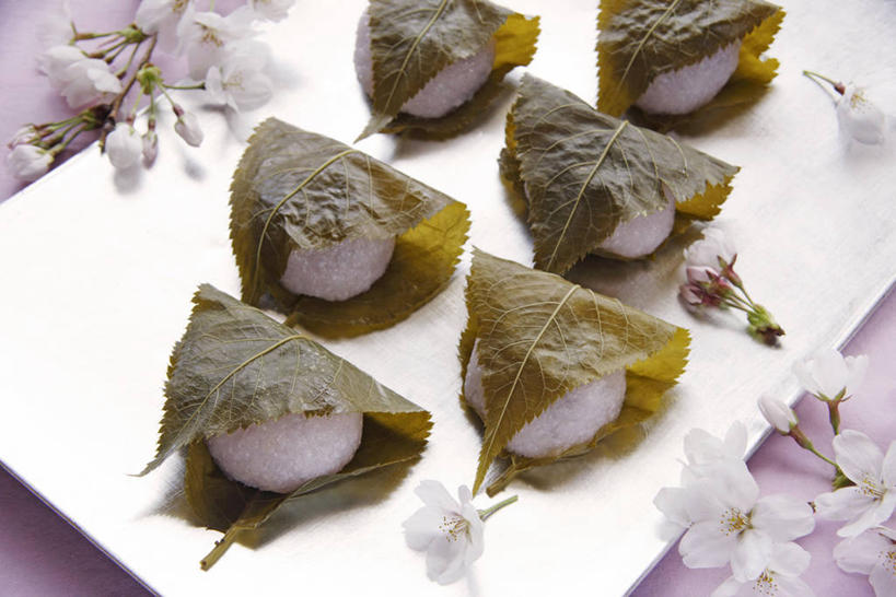 无人,横图,俯视,室外,特写,白天,餐具,叶子,阴影,节日,朦胧,模糊,盛开,光线,碟子,盘,影子,年糕,绿叶,花蕾,文化,花,花瓣,花朵,鲜花,阳光,盘子,碟,花苞,花蕊,祈祷,嫩叶,许愿,纪念,祈求,祭祀,镜饼,绢柏,银桦,银桦树,平安,叶,叶片,彩图,高角度拍摄,传统文化