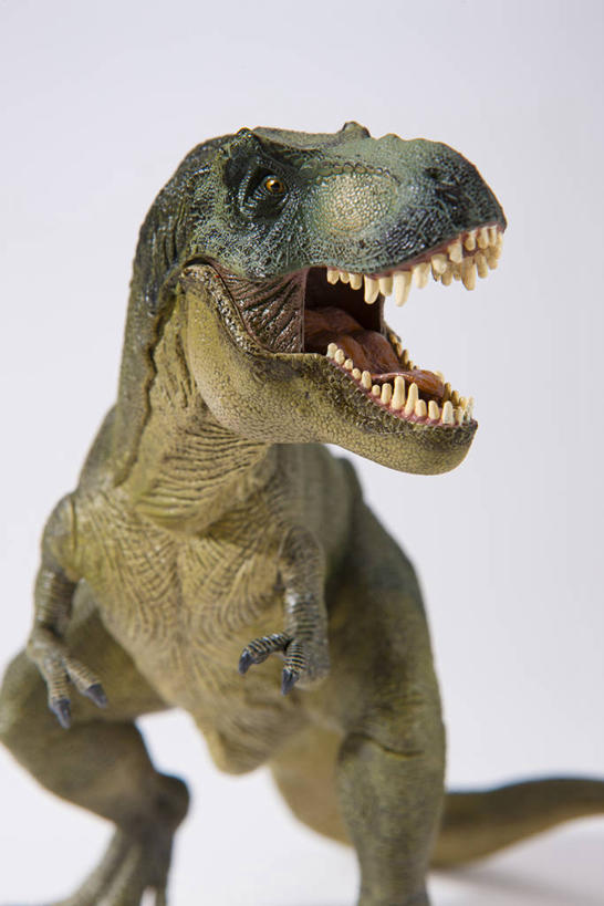 无人,站,竖图,室内,特写,白天,正面,静物,雕塑,阴影,灰色背景,艺术,装饰,反射,雕刻,雕像,影子,扭头,注视,一只,工艺品,观察,看,站着,张嘴,转头,摄影,恐龙,影棚,观看,纪念,美术,察看,关注,主题,凶猛,陈列,张大嘴巴,霸王龙,功能,美学,灭尽,灭绝,暴龙,雷克斯暴龙,雷克斯龙,史前动物,凶残,张开嘴,站立,半身,彩图,影棚拍摄,拍摄