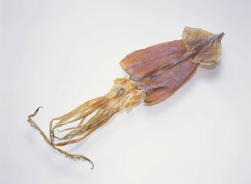 点心,海鲜,无人,横图,俯视,室内,特写,白天,白色背景,鱿鱼,熟食,食品,水产,海洋生物,食物,一只,零食,摄影,影棚,水生动物,海产品,水生物,海底动物,柔鱼,枪乌贼,彩图,高角度拍摄,全身,影棚拍摄,拍摄,干鱿鱼