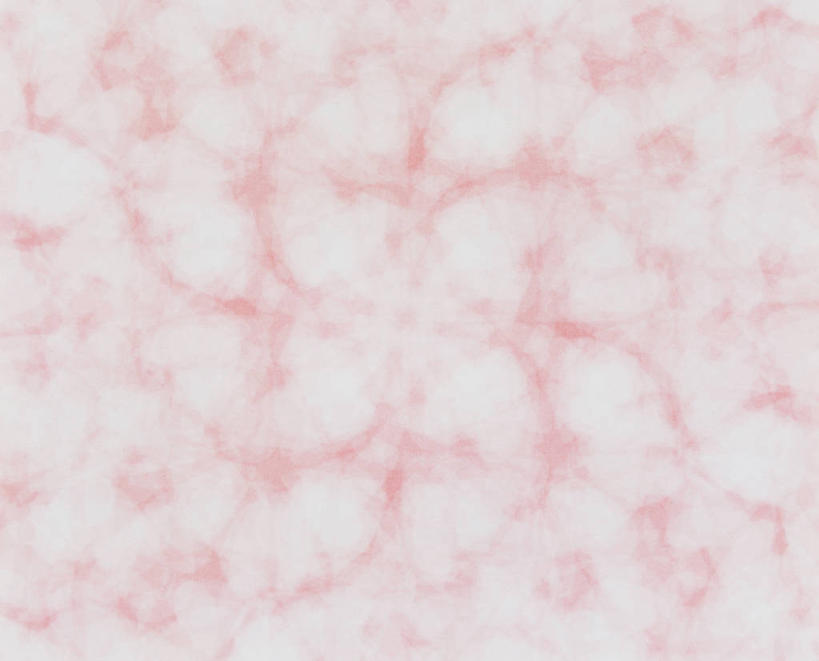 无人,横图,室内,特写,白天,正面,爱情,幸福,纯洁,热情,玫瑰,盛开,玫瑰花,浪漫,花蕾,花,花瓣,花朵,鲜花,粉色,花苞,花蕊,温暖,温馨,恩爱,和睦,感动,粉玫瑰,尊敬,天真,刺玫花,徘徊花,彩图,融洽