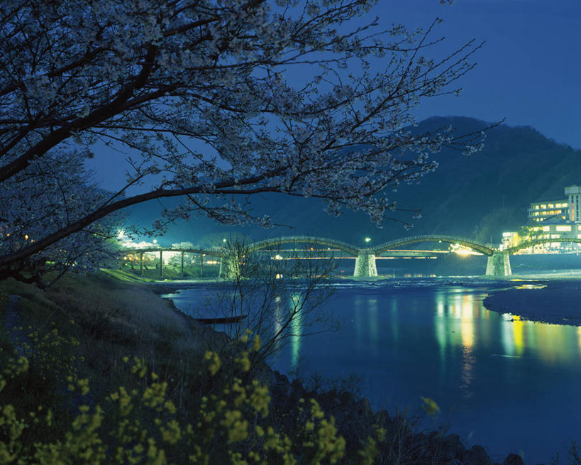 无人,横图,室外,夜晚,正面,长时间曝光,旅游,度假,河流,山,山脉,水,植物,标志建筑,地标,建筑,路灯,照明,日本,亚洲,阴影,波纹,盛开,光线,木板,影子,河水,山峰,水流,桥,灯光,木桥,涟漪,山峦,花蕾,娱乐,建设,拱桥,栈桥,灯,花,花瓣,花朵,鲜花,树,树木,绿色,倒影,水纹,自然,波浪,群山,花苞,花蕊,享受,休闲,旅游胜地,放松,拱形,生长,成长,人行桥,木板桥,照亮,倒映,照明设备,曝光,东亚,本州,本州岛,日本国,水晕,中国地方,山口,山口县,锦带桥,反照,彩图,岩国,岩国市