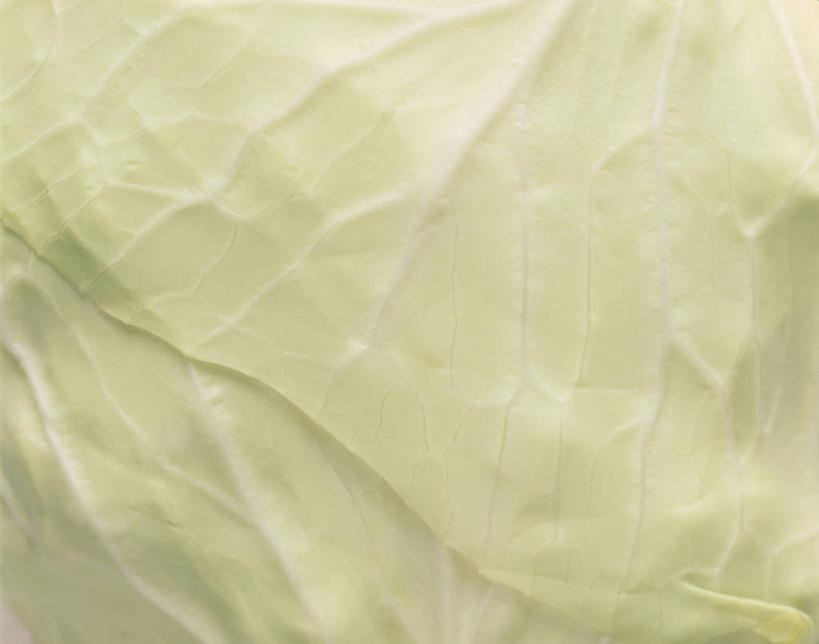 无人,横图,俯视,室内,特写,白天,蔬菜,叶子,阴影,新鲜,反射,纹路,纹理,影子,大白菜,食品,绿叶,白菜,食物,嫩叶,有机食品,绿色食品,结球白菜,肌理,胶菜,叶,叶片,彩图,高角度拍摄,黄芽白