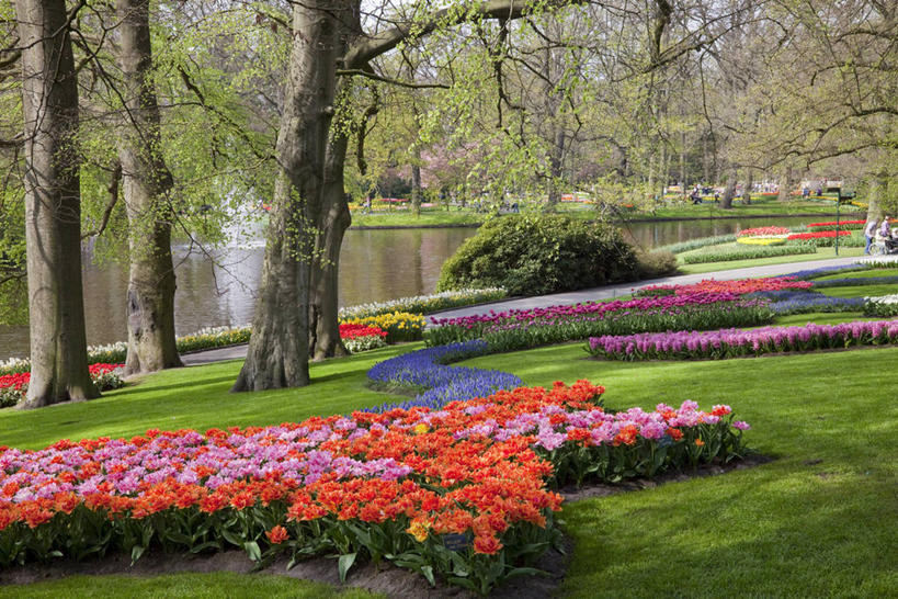 无人,横图,室外,白天,正面,爱情,旅游,度假,草地,草坪,花海,花圃,河流,美景,水,植物,郁金香,叶子,欧洲,荷兰,阴影,波纹,盛开,光线,影子,河水,景观,水流,树桩,涟漪,首都,祝福,花蕾,娱乐,草,花,花瓣,花朵,花卉,鲜花,树,树干,树木,绿色,倒影,水纹,阳光,自然,波浪,花丛,花束,花田,花苞,花蕊,享受,休闲,木桩,景色,放松,生长,成长,倒映,表白,西欧,自然风光,荣誉,阿姆斯特丹,水晕,永恒,荷兰王国,尼德兰王国,反照,库肯霍夫花园,北荷兰省,郁香,洋荷花,草麝香,彩图