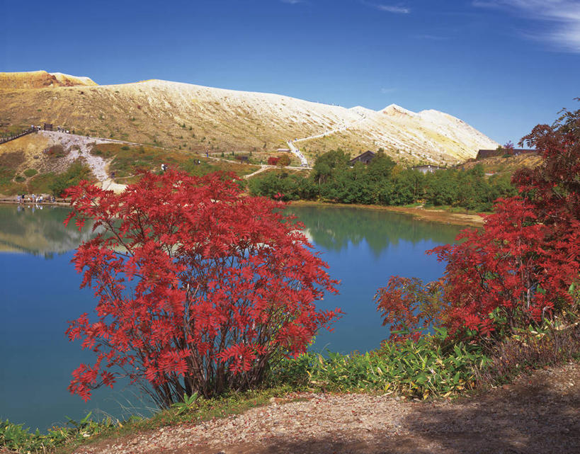 无人,公园,横图,室外,白天,正面,旅游,度假,美景,秋季,山,山脉,植物,叶子,长野县,日本,亚洲,阴影,光线,影子,池塘,景观,山峰,水池,云,云朵,枯叶,落叶,山峦,云彩,娱乐,树,树木,红色,蓝色,绿色,白云,倒影,蓝天,天空,阳光,自然,群山,天,享受,休闲,景色,放松,生长,晴朗,成长,倒映,自然风光,东亚,本州,关东地方,本州岛,日本国,中部地方,群马,群马县,长野,新潟,新潟县,国立公园,反照,叶,叶片,晴空,秋,秋天,彩图,草津白根山,上信越高原国立公园