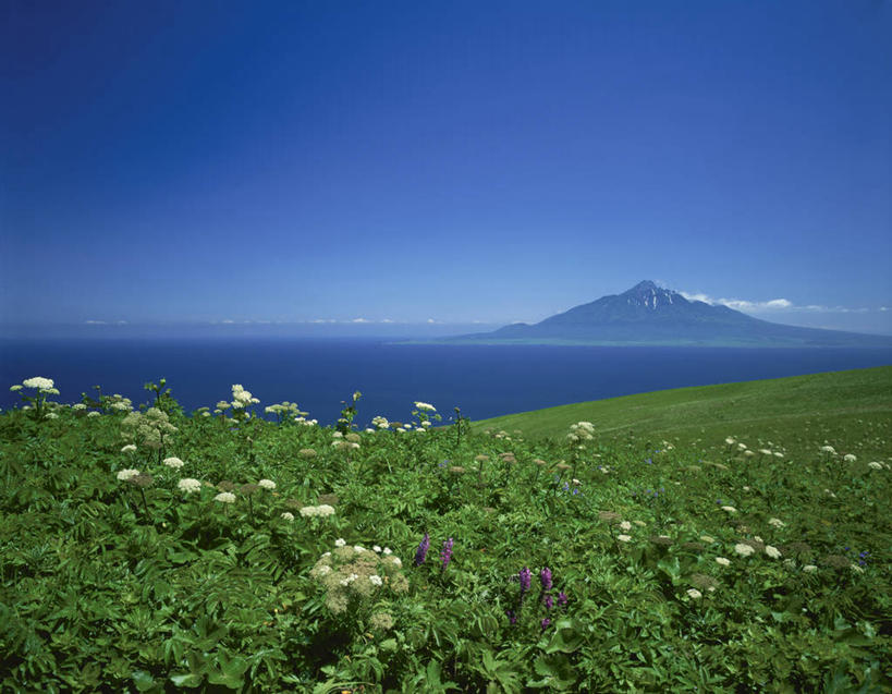 无人,横图,室外,白天,正面,旅游,度假,草地,草坪,海浪,海洋,花海,花圃,美景,山,山脉,植物,叶子,北海道,日本,亚洲,阴影,盛开,光线,影子,景观,浪花,山峰,山峦,花蕾,娱乐,草,花,花瓣,花朵,花卉,鲜花,蓝色,绿色,蓝天,天空,阳光,自然,海水,花丛,花束,花田,群山,天,花苞,花蕊,享受,休闲,景色,放松,晴朗,自然风光,海景,东亚,万里无云,日本国,北海道地方,北海道岛,大海,风浪,海,海水的波动,近岸浪,涌浪,晴空,晴空万里,彩图,振兴局,礼文岛,礼文郡,礼文町,利尻岛,利尻郡,宗谷综合振兴局,利尻山,利尻町,利尻岳