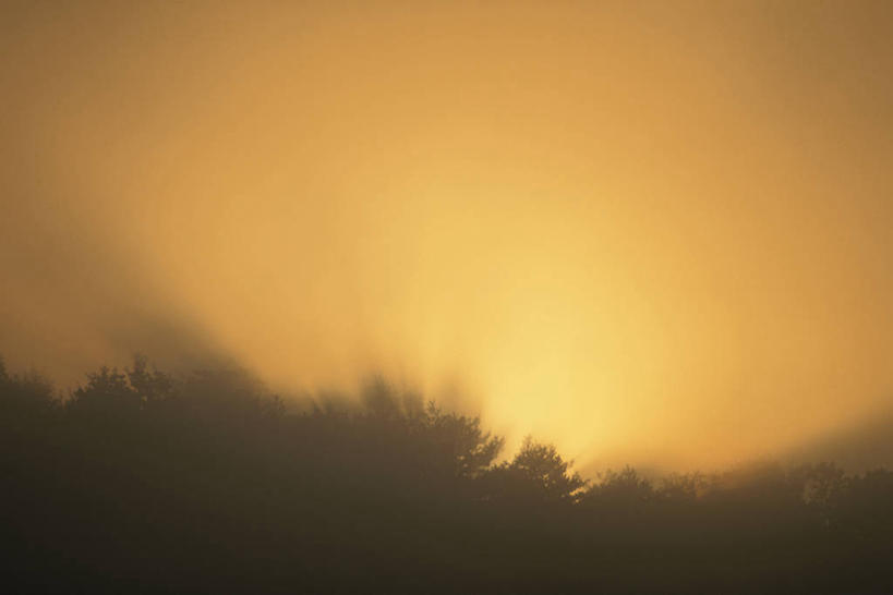 无人,横图,室外,白天,仰视,幸福,日出,美景,太阳,景观,朝霞,晨曦,黎明,辉煌,阳光,自然,温暖,橙色,景色,活泼,华丽,暖色,自然风光,温情,炽热,响亮,跃动,甜蜜,朝阳,彩图,低角度拍摄,愉快,卯时,破晓,日始