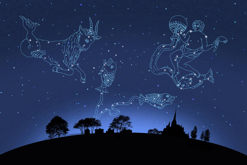 无人,横图,室内,夜晚,正面,智慧,神秘,数码,宇宙,科技,植物,阴影,网络,高光,几何,计算机图形,合成,树,树木,绿色,自然,独立,可爱,星座,生长,成长,电脑合成图,数码合成图,合成图,气质,天文,占卜,温柔,天文学,写实,具体,具象,可靠,宝瓶座,冷静,摩羯座,耐心,亲和,双鱼座,水瓶座,细腻,星相,隐忍,占星,山羊座,彩图