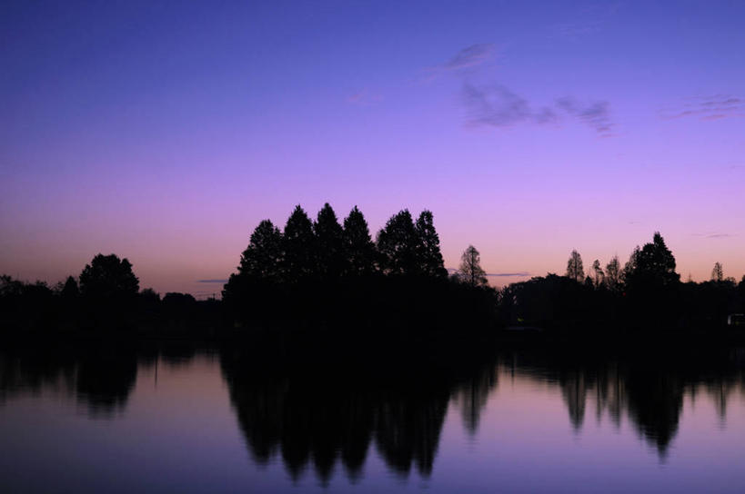 无人,横图,室外,白天,正面,旅游,度假,河流,美景,日落,树林,水,植物,东京,日本,亚洲,河水,景观,水流,晚霞,霞光,落日,背光,娱乐,树,树木,绿色,倒影,自然,黄昏,享受,休闲,景色,彩霞,放松,生长,成长,倒映,自然风光,逆光,东亚,本州,关东地方,本州岛,日本国,东京都,水元公园,夕照,反照,薄暮,葛饰区,夕阳,彩图,傍晚,斜阳