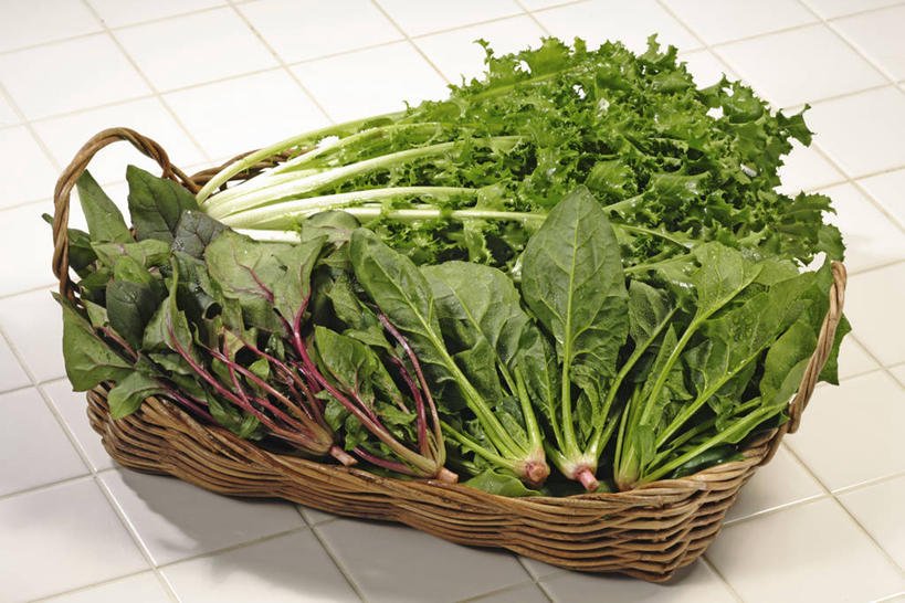 无人,交叉,横图,俯视,室内,特写,白天,竹子,菠菜,蔬菜,一堆,许多,阴影,堆叠,堆积,竹制,新鲜,编织,反射,篮子,影子,菊苣,食品,苦菜,很多,食物,一个,竹篮,有机食品,绿色食品,单个,竹条,堆,苦苣,交织,竹制品,穿插,鹦鹉菜,鼠根菜,角菜,红嘴绿鹦哥,赤根菜,菠薐菜,波斯草,彩图,高角度拍摄,咖啡草,咖啡萝卜,卡斯尼,明目菜,皱叶苦苣