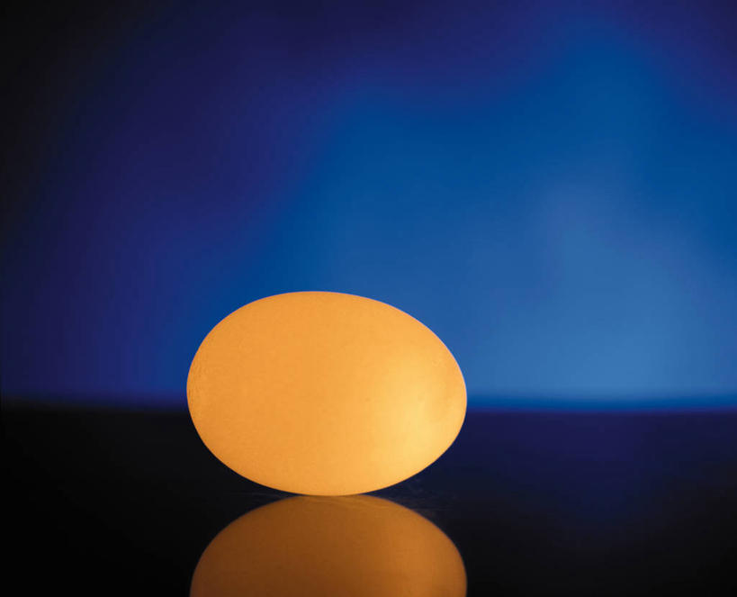 无人,横图,室内,特写,白天,正面,阴影,蓝色背景,光线,影子,灯光,蛋,鸡蛋,一个,摄影,影棚,单个,草鸡蛋,卵,彩图,影棚拍摄,拍摄,本鸡蛋,笨鸡蛋,柴鸡蛋,山鸡蛋,土鸡蛋