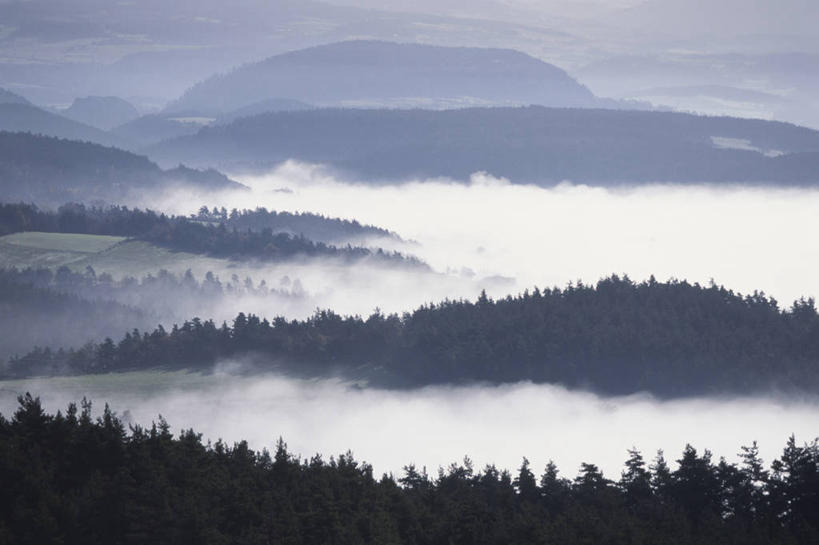 无人,横图,室外,白天,正面,旅游,度假,美景,森林,山,山脉,树林,植物,雾,法国,欧洲,阴影,朦胧,模糊,光线,影子,景观,山峰,山峦,娱乐,树,树木,绿色,阳光,自然,群山,享受,休闲,景色,放松,生长,成长,迷雾,西欧,法兰西,自然风光,法兰西共和国,法兰西第五共和国,奥弗涅,奥弗涅大区,大雾,彩图