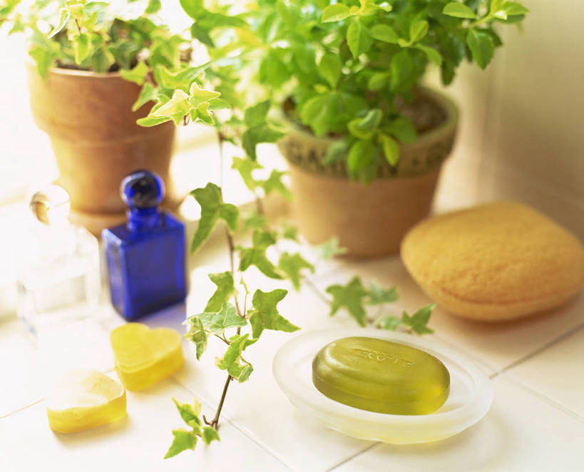 无人,横图,俯视,室内,特写,白天,化妆,美容,植物,花盆,一块,护肤,阴影,朦胧,模糊,反射,盆栽,影子,陶瓷,盆景,陶瓷制品,玻璃制品,盒子,绿色,自然,玻璃瓶,化妆品,瓶子,容器,肥皂,肥皂盒,香皂,日用品,洗浴用品,清洁,保养,享受,休闲,放松,保健,生长,成长,储藏,护肤品,化妆用品,储存,护肤用品,舒缓,养颜,去污,紧肤,嫩肤,洗涤,彩图,高角度拍摄,贮存