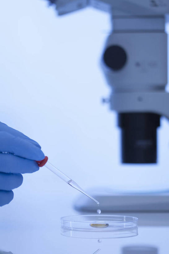 东方人,手,一个人,科学家,竖图,室内,特写,白天,正面,实验,仪器,桌面,桌子,亚洲,仅一个男性,仅一个人,握,阴影,朦胧,模糊,研究,反射,分析,化学,测试,滴管,培养皿,影子,实验室,研究室,黄种人,仅一个年轻男性,手套,手部,橡胶,器皿,生物,握着,单手,科研人员,研究者,橡胶手套,工作台,橡胶制品,试验室,科学研究者,试验耗材,实验用品,化学器材,医用手套,男人,男性,年轻男性,亚洲人,科学工作者,半身,彩图,实验台,实验桌