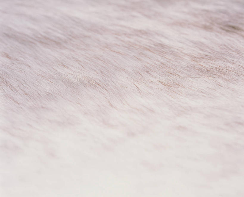 无人,横图,室内,特写,白天,正面,静物,花纹,纹路,布,图案,纹理,布纹,摄影,影棚,布匹,肌理,彩图,影棚拍摄,拍摄