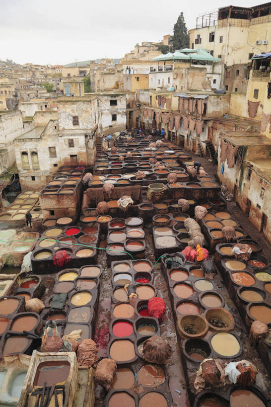 无人,家,工厂,竖图,俯视,室外,白天,度假,美景,植物,城市风光,城市,非洲,摩洛哥,一排,许多,整齐,并列,并排,房屋,屋子,景观,公寓,很多,娱乐,洋房,楼房,住宅,树,树木,排列,绿色,天空,自然,天,享受,休闲,景色,放松,工业,生长,成长,队列,平行,染缸,阿非利加洲,摩洛哥王国,彩图,高角度拍摄,房子,制造厂,生产工厂