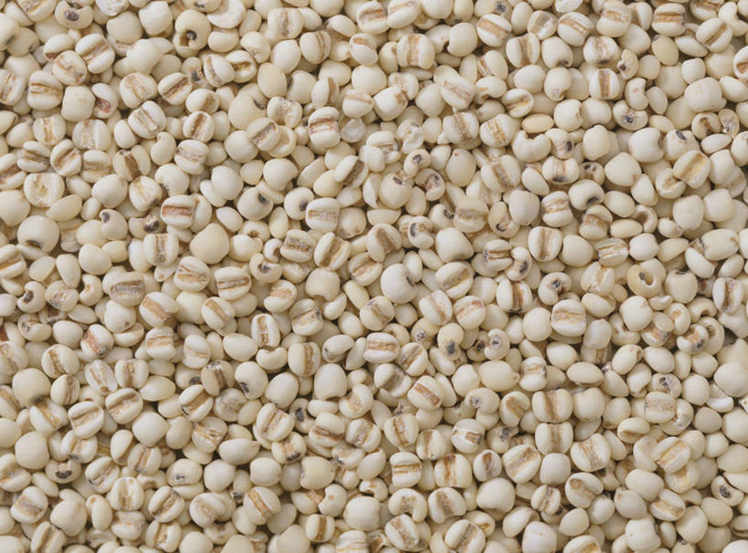 无人,横图,俯视,室内,特写,白天,一堆,许多,堆叠,堆积,很多,中药,摄影,影棚,堆,薏米,薏仁,苡米,苡仁,薏苡仁,米仁,彩图,高角度拍摄,全画面,全框架,全帧,影棚拍摄,拍摄,全画幅