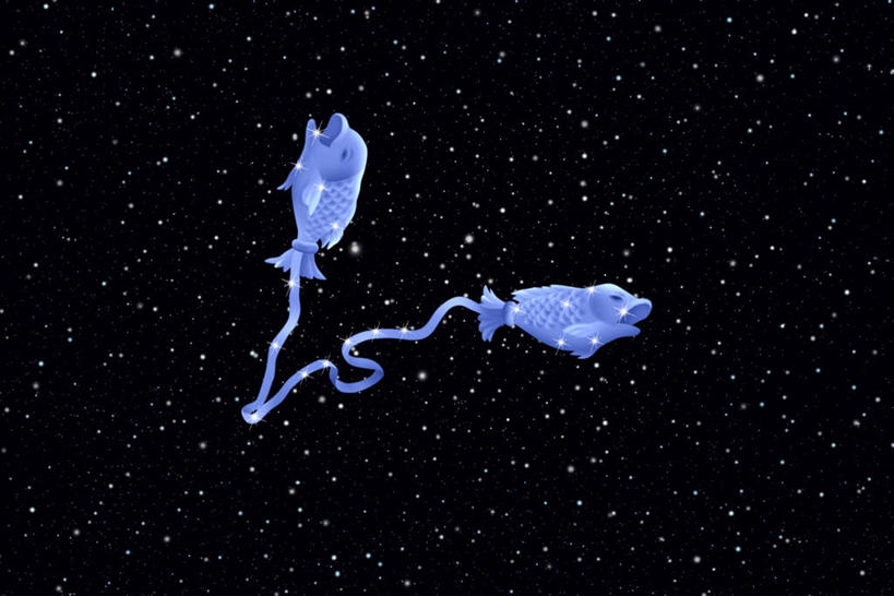 无人,横图,室内,白天,正面,探险,神秘,数码,宇宙,科技,阴影,黑色背景,科学,太空,网络,星球,高光,几何,计算机图形,合成,自然,探索,星系,发现,电脑合成图,数码合成图,天体,合成图,星体,天文学,外太空,旋涡星系,写实,具体,具象,双鱼座,彩图,螺旋星系