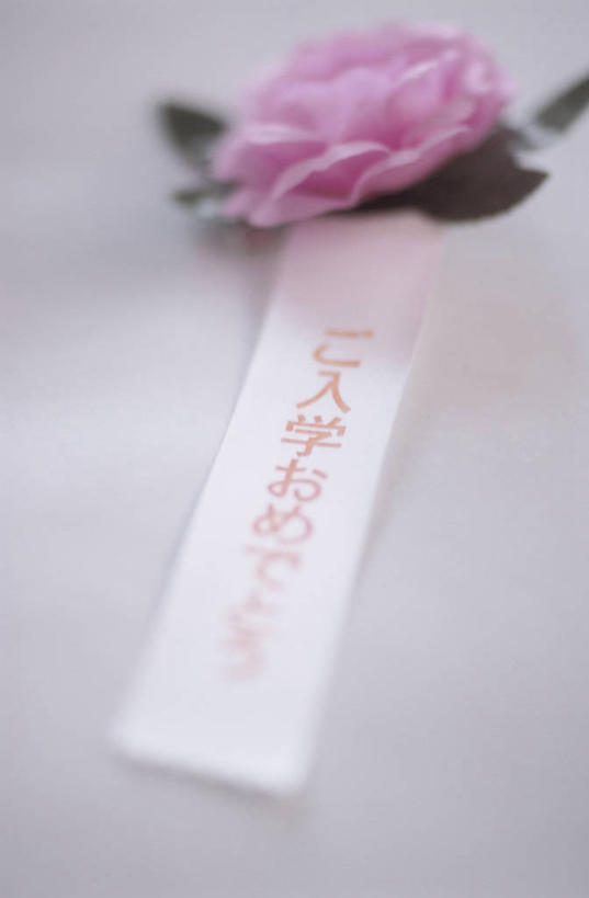 无人,竖图,俯视,室内,特写,白天,白色背景,珠宝,阴影,朦胧,模糊,装饰,反射,标志,文字,影子,字符,字母,胸花,标识,一朵,饰品,摄影,影棚,胸针,华丽,修饰,点缀,配饰,衬托,美观,雅致,雅观,彩图,高角度拍摄,影棚拍摄,拍摄