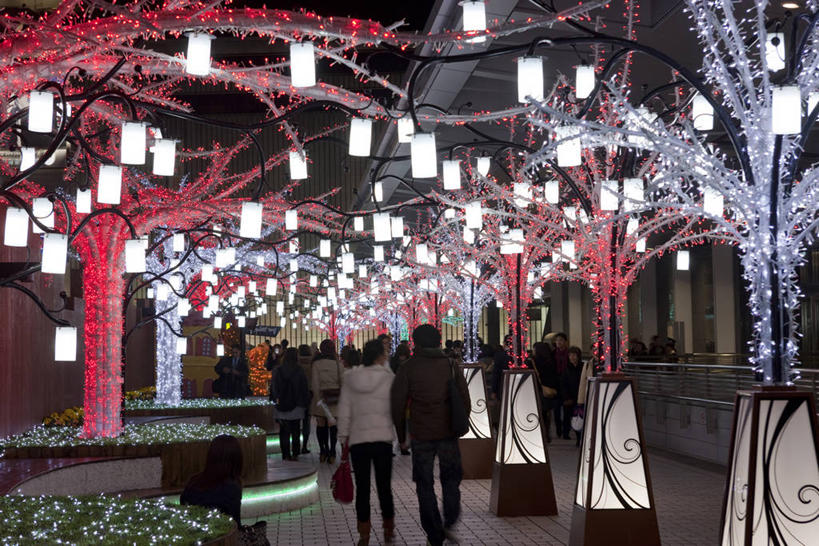 东方人,走,横图,室外,夜晚,爱情,植物,道路,路,夜景,公路,照明,爱知县,名古屋,日本,亚洲,行人,游客,游人,阴影,服装,光线,彩灯,影子,灯光,枝条,交通,许多人,浪漫,休闲装,黄种人,路人,旅客,灯,树,树木,树枝,背面,衣服,绿色,自然,灯具,一群人,休闲,温暖,温馨,休闲服,恩爱,恋人,服饰,花灯,生长,成长,照亮,和睦,照明设备,东亚,本州,本州岛,日本国,中部地方,爱知,县厅,名古屋市,虬枝,枝杈,过客,男人,男性,年轻男性,年轻女性,女人,女性,亚洲人,情侣,马路,步行,散步,走路,半身,彩图,名古屋站,伴侣,融洽