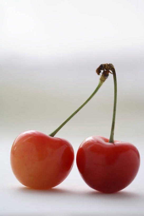 无人,竖图,室内,特写,白天,正面,樱桃,水果,阴影,朦胧,模糊,新鲜,反射,影子,生食,食品,果实,食物,两个,有机食品,绿色食品,樱珠,莺桃,英桃,楔桃,牛桃,荆桃,彩图