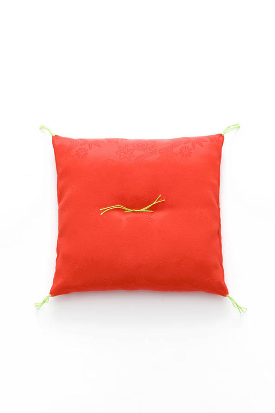 无人,竖图,室内,特写,白天,白色背景,正面,靠垫,静物,靠枕,一个,红色,垫子,枕头,摄影,影棚,单个,彩图,影棚拍摄,拍摄