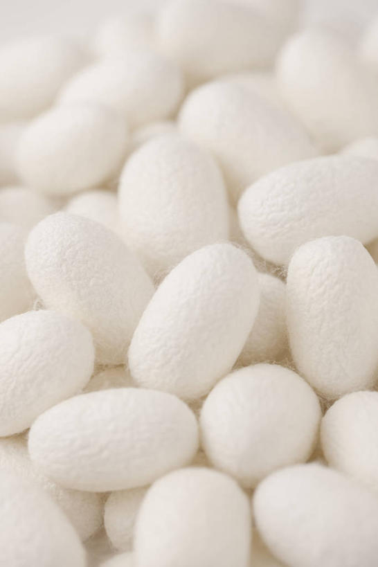 无人,竖图,俯视,室内,特写,白天,静物,一堆,许多,阴影,堆叠,堆积,反射,影子,很多,白色,摄影,影棚,堆,卫生,纯真,洁净,光明,恬静,中间色,朴素,清白,蚕茧,家蚕茧,桑蚕茧,彩图,高角度拍摄,全画面,全框架,全帧,影棚拍摄,拍摄,全画幅