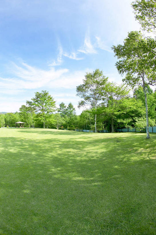 无人,竖图,室外,白天,正面,旅游,度假,草地,草坪,美景,植物,长野县,日本,亚洲,阴影,光线,影子,亭子,景观,云,云朵,云彩,娱乐,草,树,树木,蓝色,绿色,白云,蓝天,天空,阳光,自然,凉亭,天,享受,休闲,景色,放松,生长,晴朗,成长,自然风光,东亚,本州,本州岛,日本国,中部地方,长野,轻井泽,轻井泽町,晴空,彩图,北佐久郡