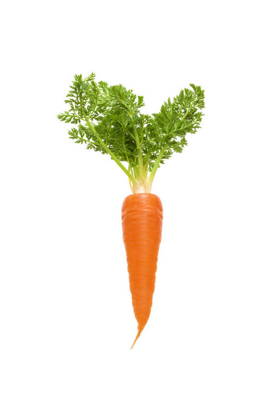 无人,竖图,室内,特写,白天,白色背景,正面,萝卜,胡萝卜,蔬菜,叶子,一根,新鲜,食品,绿叶,食物,橙色,嫩叶,摄影,有机食品,绿色食品,影棚,黄萝卜,番萝卜,叶,叶片,红萝卜,甘荀,彩图,影棚拍摄,拍摄,丁香萝卜,胡芦菔金,金笋