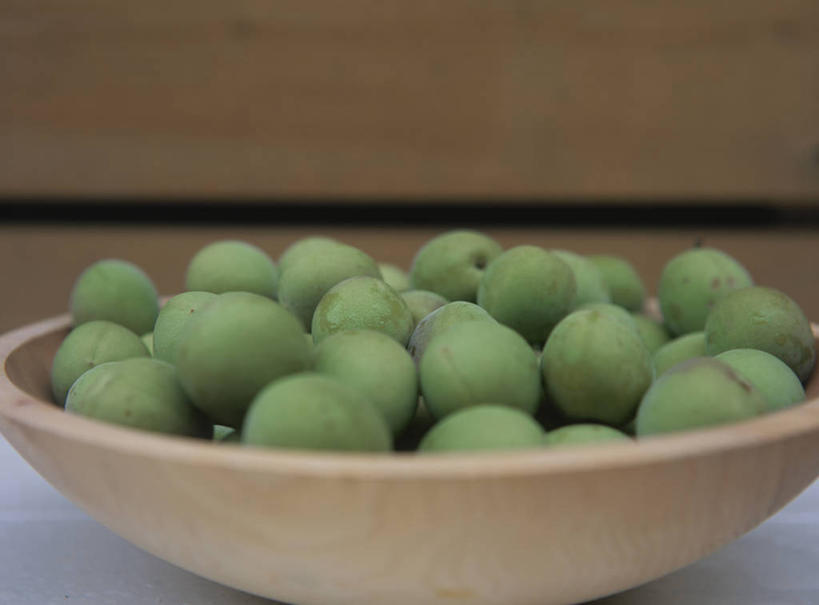 无人,横图,室外,白天,正面,李子,水果,一堆,许多,阴影,堆叠,堆积,朦胧,模糊,新鲜,反射,木制,影子,生食,食品,果实,很多,食物,一个,绿色,木制品,容器,碗,有机食品,绿色食品,单个,储藏,堆,储存,布拉斯李,黄香李,彩图,贮存