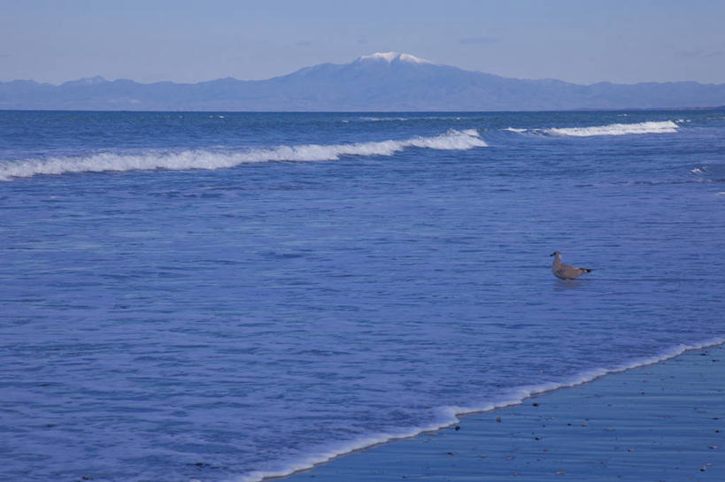 无人,横图,室外,白天,正面,旅游,度假,海浪,海洋,美景,山,山脉,鸟,北海道,日本,亚洲,阴影,光线,鸟类,影子,景观,浪花,山峰,山峦,娱乐,一只,蓝色,蓝天,天空,阳光,自然,海水,群山,天,享受,休闲,景色,放松,晴朗,太平洋,自然风光,海景,东亚,万里无云,日本国,北海道地方,北海道岛,知床半岛,大海,风浪,海,海水的波动,近岸浪,涌浪,晴空,晴空万里,彩图,全身,鄂霍次克海,鄂霍次克