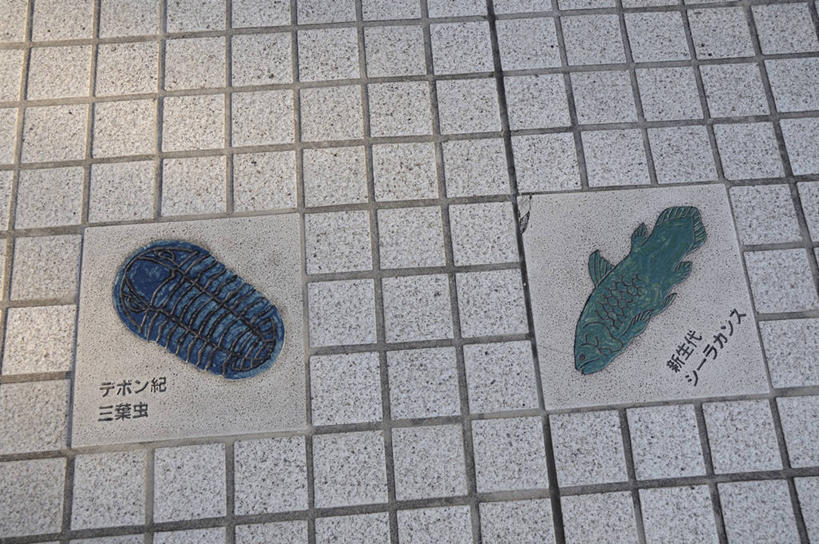 无人,横图,俯视,室外,白天,道路,路,静物,东京,日本,亚洲,阴影,反射,日文,标志,文字,影子,字符,小路,交通,标识,乡间小路,东亚,本州,关东地方,本州岛,日本国,东京都,日语,大田区,彩图,高角度拍摄