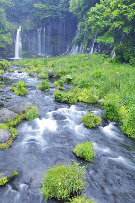 无人,竖图,室外,白天,正面,旅游,度假,草地,草坪,河流,石头,美景,瀑布,树林,水,植物,长野县,日本,亚洲,阴影,飞溅,溅,光线,石子,液体,影子,河水,景观,水滴,水流,娱乐,水珠,草,树,树木,绿色,小溪,阳光,自然,溪水,享受,休闲,景色,放松,生长,成长,喷洒,自然风光,东亚,本州,本州岛,日本国,中部地方,长野,轻井泽,轻井泽町,白丝瀑布,跌水,石块,岩石,彩图,北佐久郡