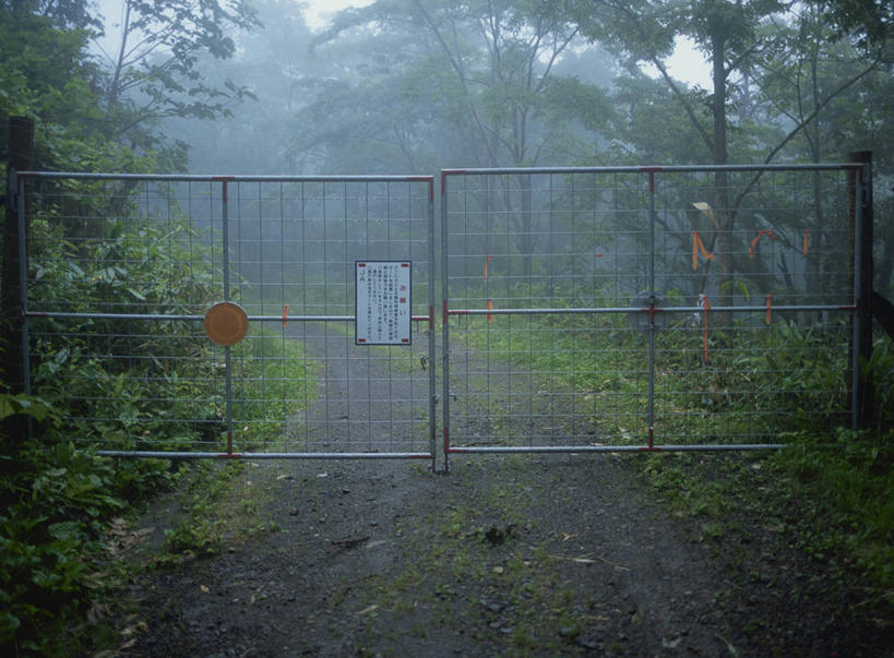 无人,横图,室外,白天,正面,旅游,度假,日出,美景,树林,太阳,植物,雾,门,北海道,日本,亚洲,关闭,阴影,朦胧,模糊,光线,影子,景观,朝霞,晨曦,黎明,娱乐,树,树木,绿色,阳光,自然,门框,享受,休闲,景色,放松,生长,成长,迷雾,封闭,自然风光,东亚,日本国,北海道地方,北海道岛,朝阳,大雾,彩图,卯时,破晓,日始,鄂霍次克综合振兴局,斜里郡,斜里町,道东,网走支厅