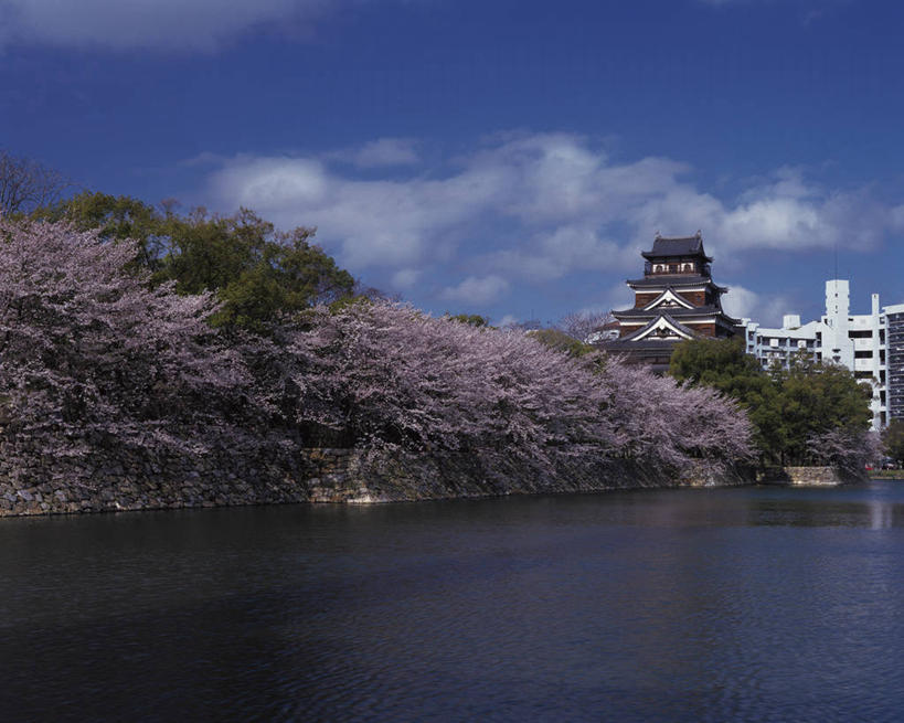 无人,横图,室外,白天,正面,旅游,度假,幸福,纯洁,河流,名胜古迹,树林,水,植物,标志建筑,地标,建筑,樱花,广岛县,日本,亚洲,阴影,遗迹,盛开,光线,影子,堡垒,城堡,河水,水流,云,云朵,花蕾,云彩,古迹,文物,娱乐,建设,古建筑,花,花瓣,花朵,鲜花,树,树木,蓝色,绿色,白云,蓝天,天空,阳光,自然,天,花苞,花蕊,享受,休闲,旅游胜地,放松,生长,晴朗,成长,等待,生命,要塞,古文明,东亚,本州,本州岛,日本国,广岛,広岛,中国地方,仙樱花,福岛樱,青肤樱,高尚,县厅,热烈,广岛市区,広岛市,设防,晴空,荆桃,彩图,日本樱花,鲤城,广岛城